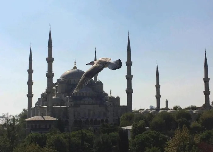 Lebon Hotel-Sultanahmet 3*